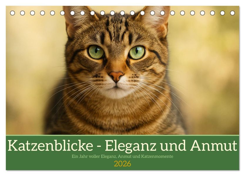 Katzenblicke - Eleganz und Anmut (Tischkalender 2026 DIN A5 quer) CALVENDO Monatskalender