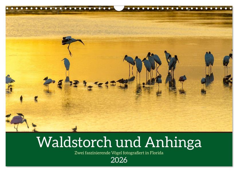 Waldstorch und Anhinga (Wandkalender 2026 DIN A3 quer) CALVENDO Monatskalender