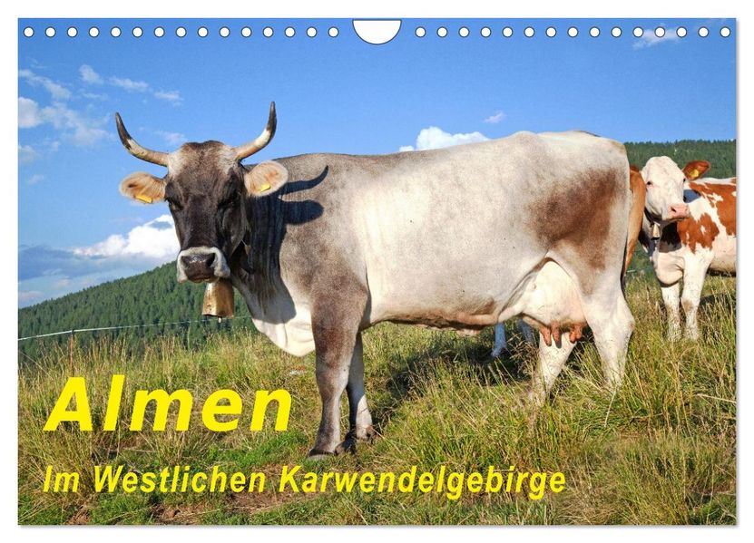 Almen im Westlichen Karwendelgebirge (Wandkalender 2026 DIN A4 quer) CALVENDO Monatskalender