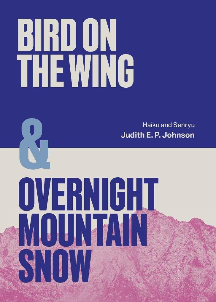 Bird on the Wing & Overnight Mountain Snow
