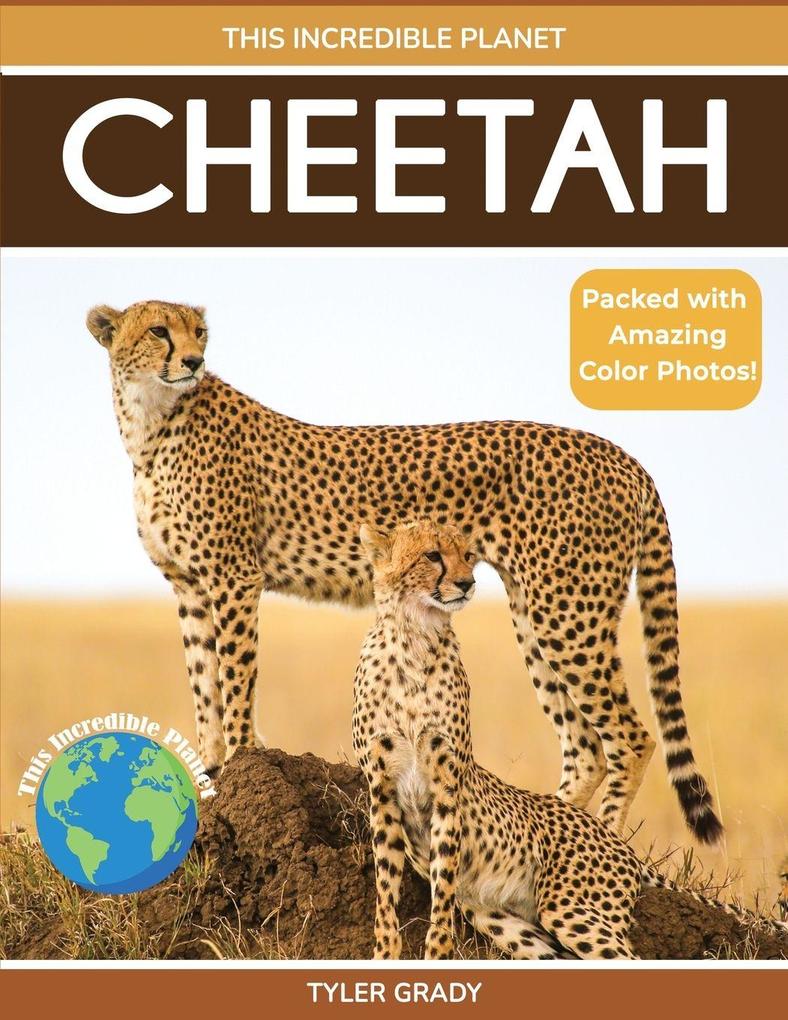 Cheetah