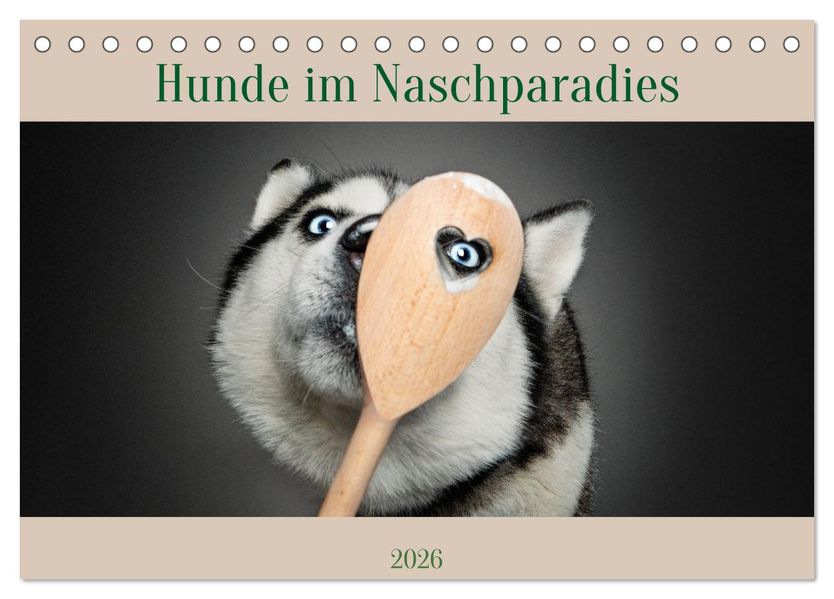 Hunde im Naschparadies (Tischkalender 2026 DIN A5 quer) CALVENDO Monatskalender