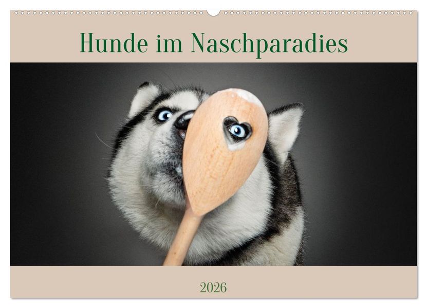 Hunde im Naschparadies (Wandkalender 2026 DIN A2 quer) CALVENDO Monatskalender
