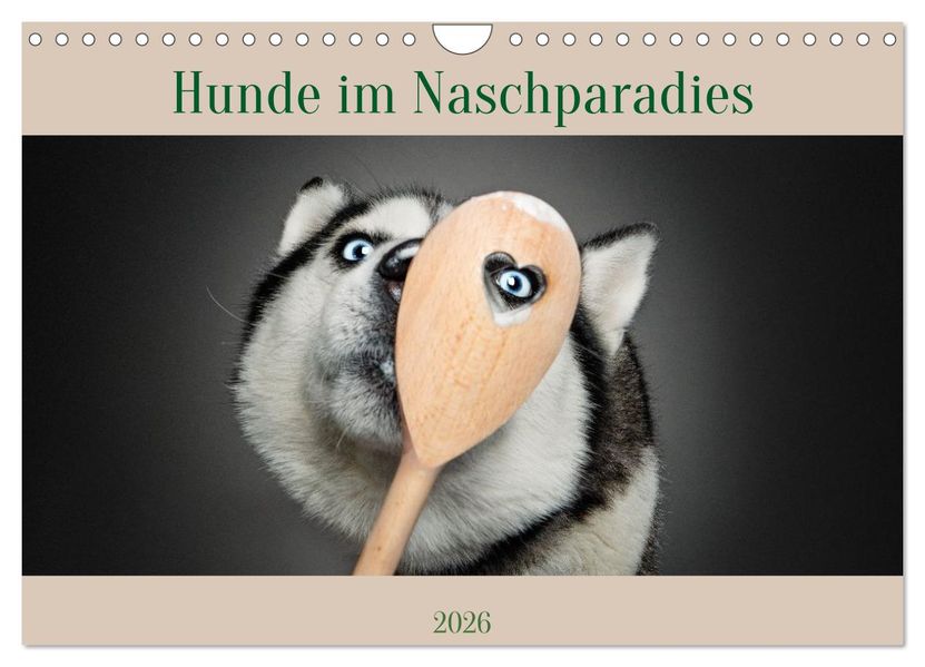 Hunde im Naschparadies (Wandkalender 2026 DIN A4 quer) CALVENDO Monatskalender