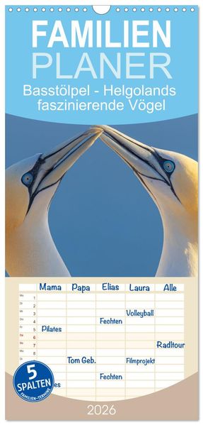 Familienplaner 2026 - Basstölpel - Helgolands faszinierende Vögel mit 5 Spalten (Wandkalender 21 x 45 cm) CALVENDO