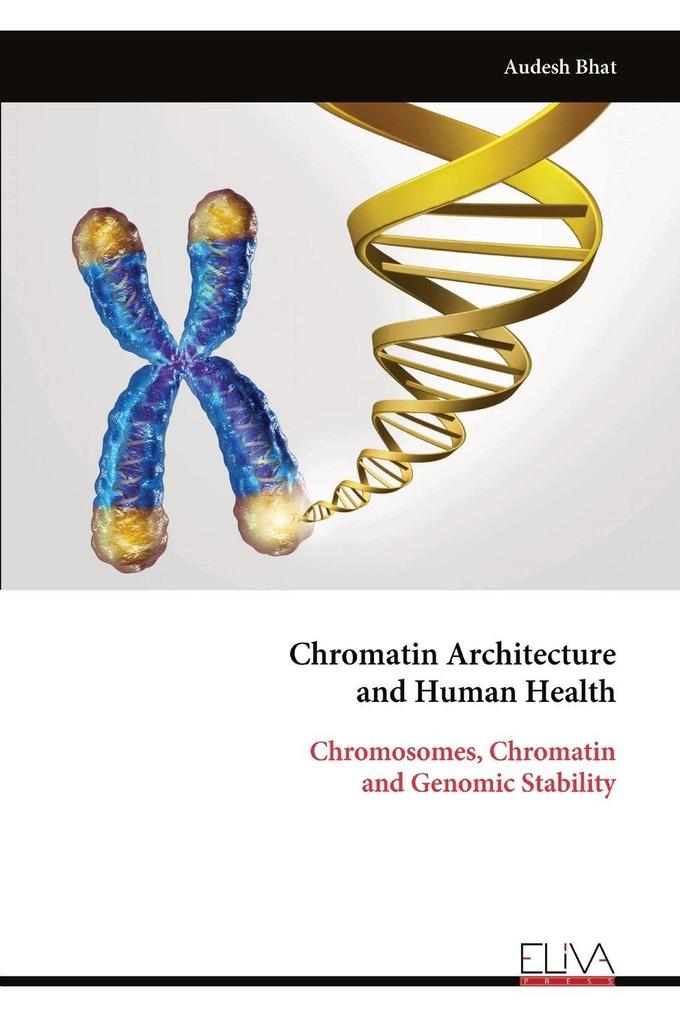 Chromatin Architecture and Human Health