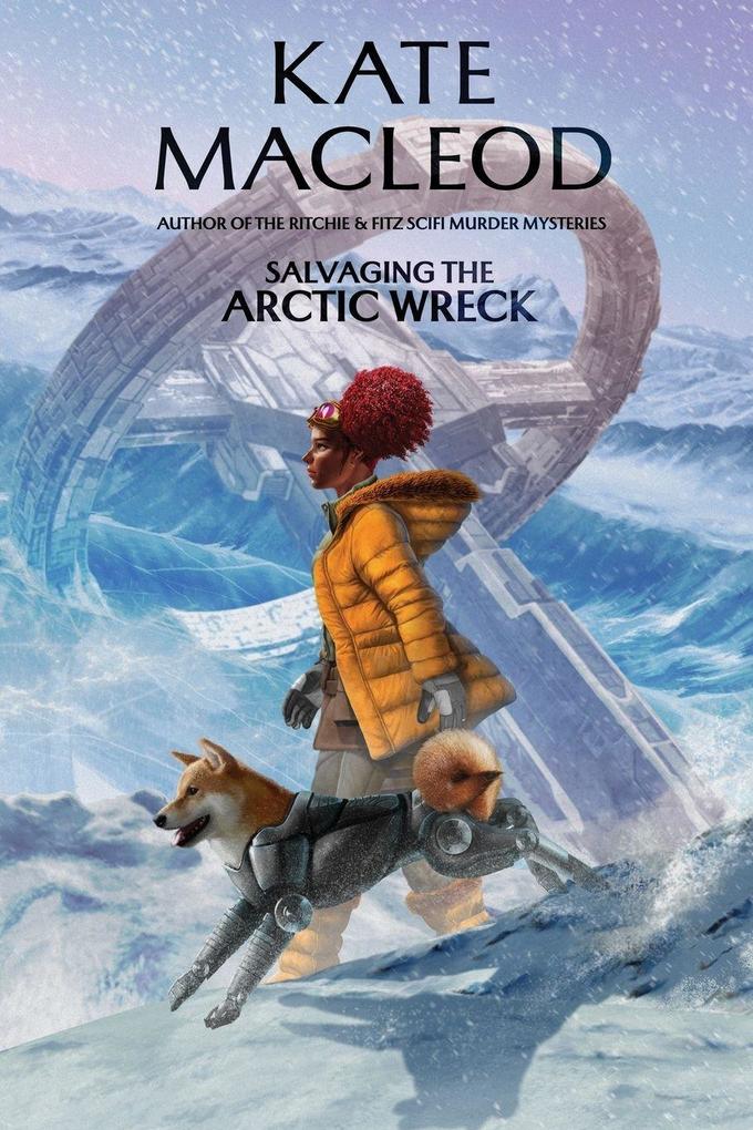 Salvaging the Arctic Wreck