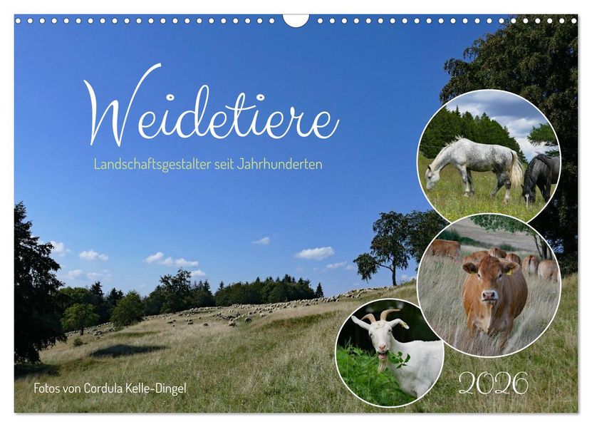Weidetiere - Landschaftsgestalter seit Jahrhunderten (Wandkalender 2026 DIN A3 quer) CALVENDO Monatskalender