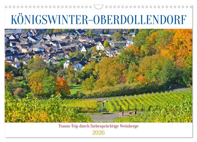 Königswinter-Oberdollendorf - Traum-Trip durch farbenprächtige Weinberge (Wandkalender 2026 DIN A3 quer) CALVENDO Monatskalender