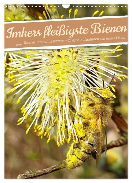 Imkers fleißigste Bienen - So arbeiten meine Immen - Originalaufnahmen aus erster Hand (Wandkalender 2026 DIN A3 hoch) CALVENDO Monatskalender