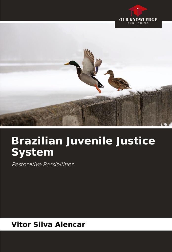 Brazilian Juvenile Justice System