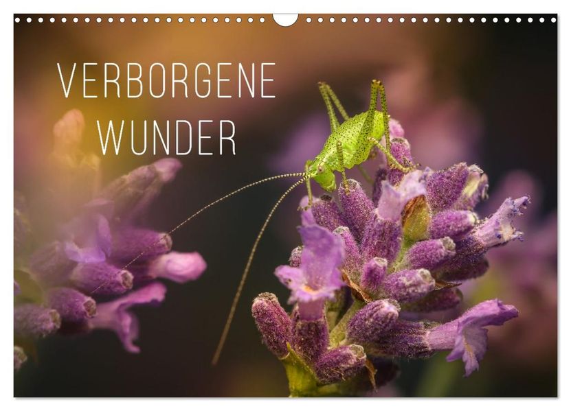 Verborgene Wunder (Wandkalender 2026 DIN A3 quer) CALVENDO Monatskalender