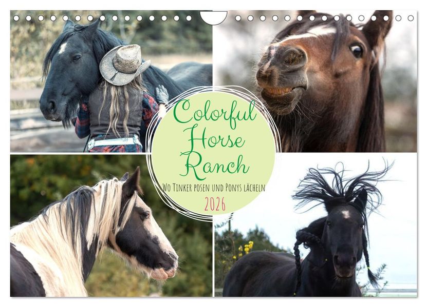 Colorful Horse Ranch - Wo Tinker posen und Ponys lächeln (Wandkalender 2026 DIN A4 quer) CALVENDO Monatskalender