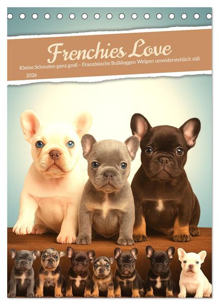 Frenchies Love - Kleine Schnuten ganz groß - Französische Bulldoggen Welpen unwiderstehlich süß (Tischkalender 2026 DIN A5 hoch) CALVENDO Monatskalender