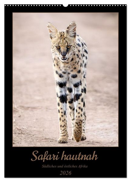 Safari hautnah - Südliches und östliches Afrika (Wandkalender 2026 DIN A2 hoch) CALVENDO Monatskalender