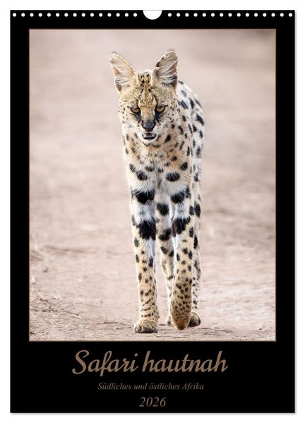 Safari hautnah - Südliches und östliches Afrika (Wandkalender 2026 DIN A3 hoch) CALVENDO Monatskalender
