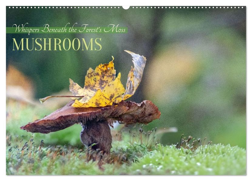 Whispers Beneath the Forest's Moss Mushrooms (Wall Calendar 2026 DIN A2 landscape) CALVENDO 12 Month Wall Calendar