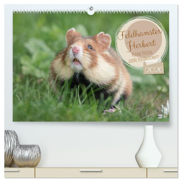 Feldhamster Herbert Kleine Pfoten große Persönlichkeit (hochwertiger Premium Wandkalender 2026 DIN A2 quer) Kunstdruck in Hochglanz