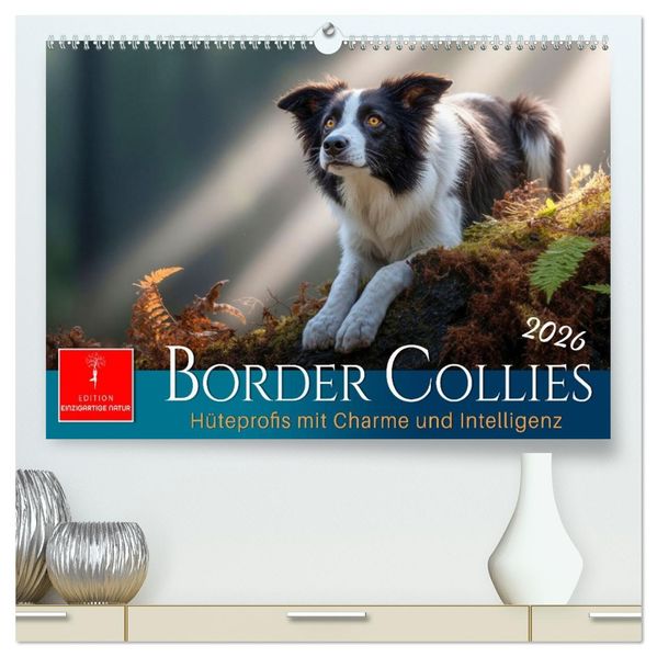 Border Collies Hüteprofis (hochwertiger Premium Wandkalender 2026 DIN A2 quer) Kunstdruck in Hochglanz