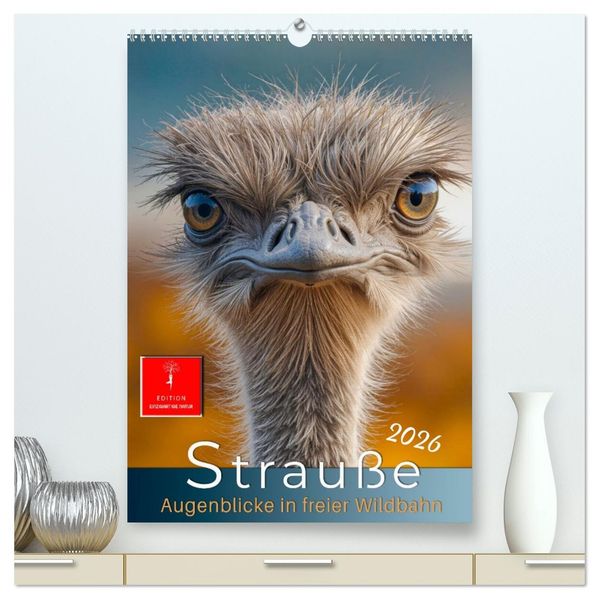 Strauße - Augenblicke in freier Wildbahn (hochwertiger Premium Wandkalender 2026 DIN A2 hoch) Kunstdruck in Hochglanz
