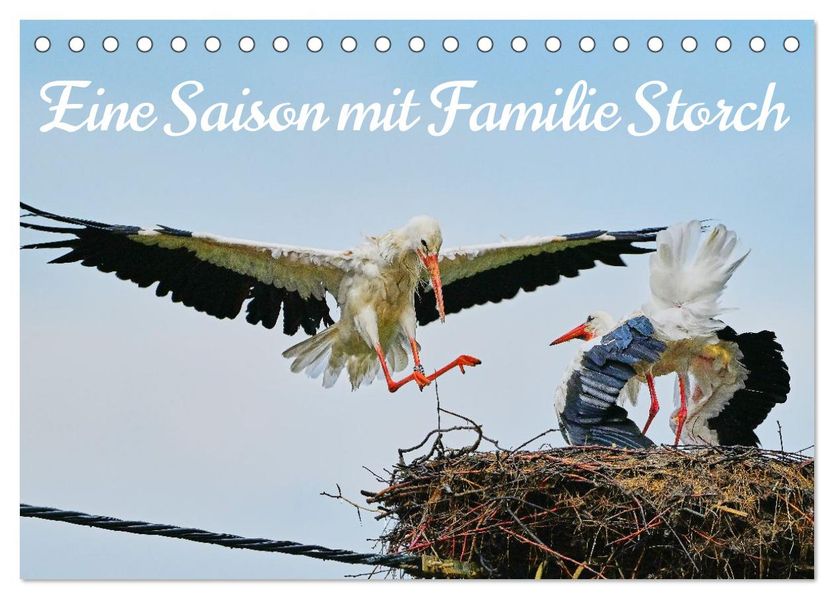 Eine Saison mit Familie Storch (Tischkalender 2026 DIN A5 quer) CALVENDO Monatskalender