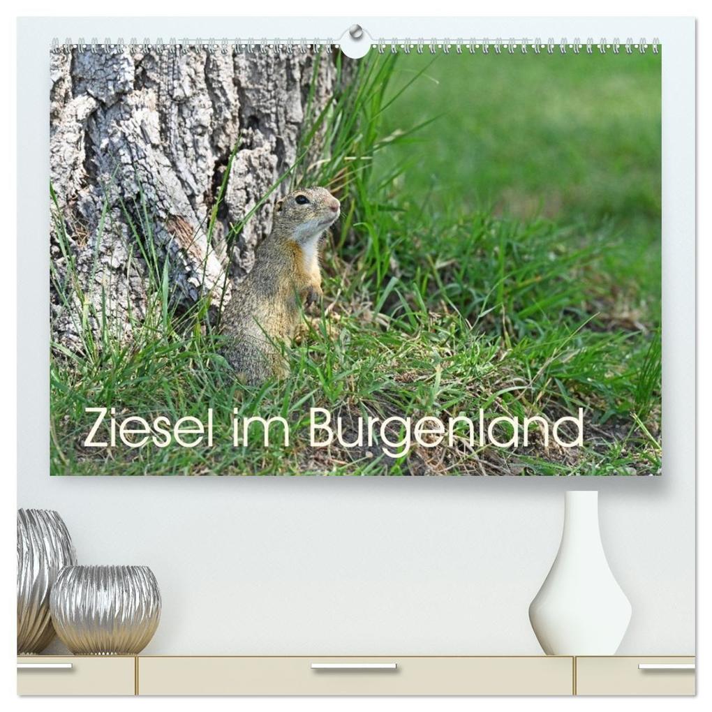 Ziesel im Burgenland (hochwertiger Premium Wandkalender 2026 DIN A2 quer) Kunstdruck in Hochglanz