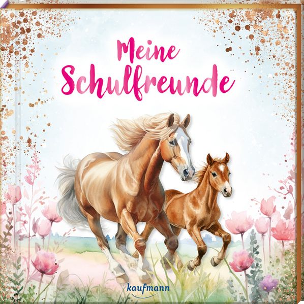 Meine Schulfreunde