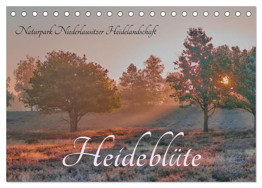 Naturpark Niederlausitzer Heidelandschaft - Heideblüte (Tischkalender 2026 DIN A5 quer) CALVENDO Monatskalender