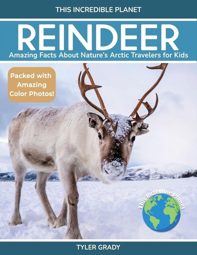 Reindeer