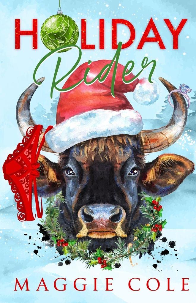 Holiday Rider-Discreet Cover