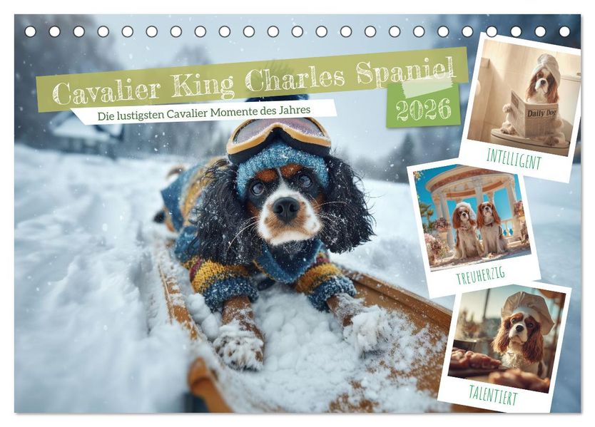 Cavalier King Charles Spaniel. Die lustigsten Cavalier Momente des Jahres. (Tischkalender 2026 DIN A5 quer) CALVENDO Monatskalender