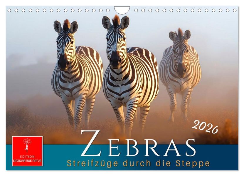 Zebras - Streifzüge durch die Steppe (Wandkalender 2026 DIN A4 quer) CALVENDO Monatskalender