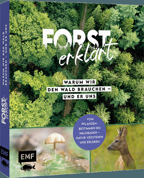 Forst erklärt: Warum wir den Wald brauchen - und er uns
