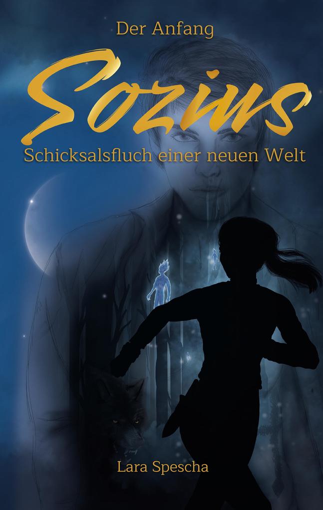 Sozius 1