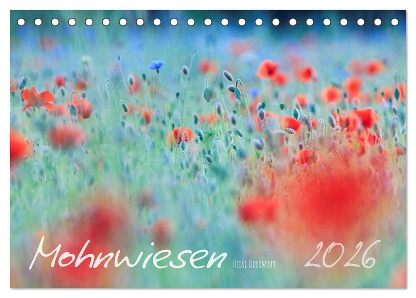 Mohnwiesen (Tischkalender 2026 DIN A5 quer) CALVENDO Monatskalender