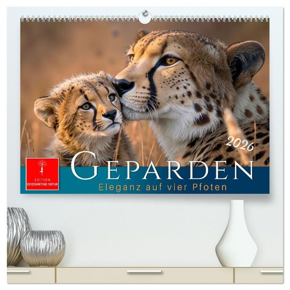 Geparden - Eleganz auf vier Pfoten (hochwertiger Premium Wandkalender 2026 DIN A2 quer) Kunstdruck in Hochglanz