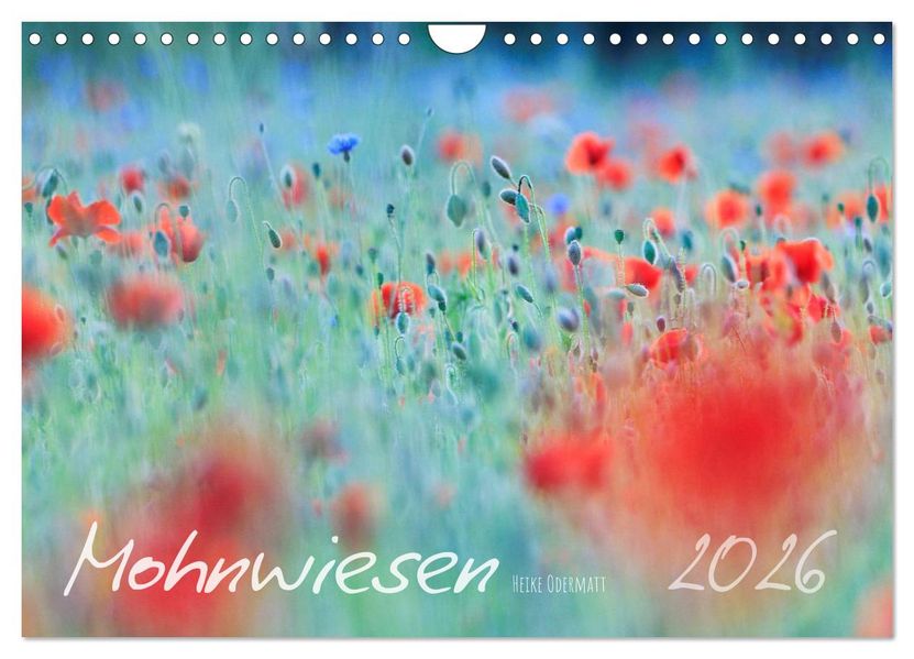 Mohnwiesen (Wandkalender 2026 DIN A4 quer) CALVENDO Monatskalender