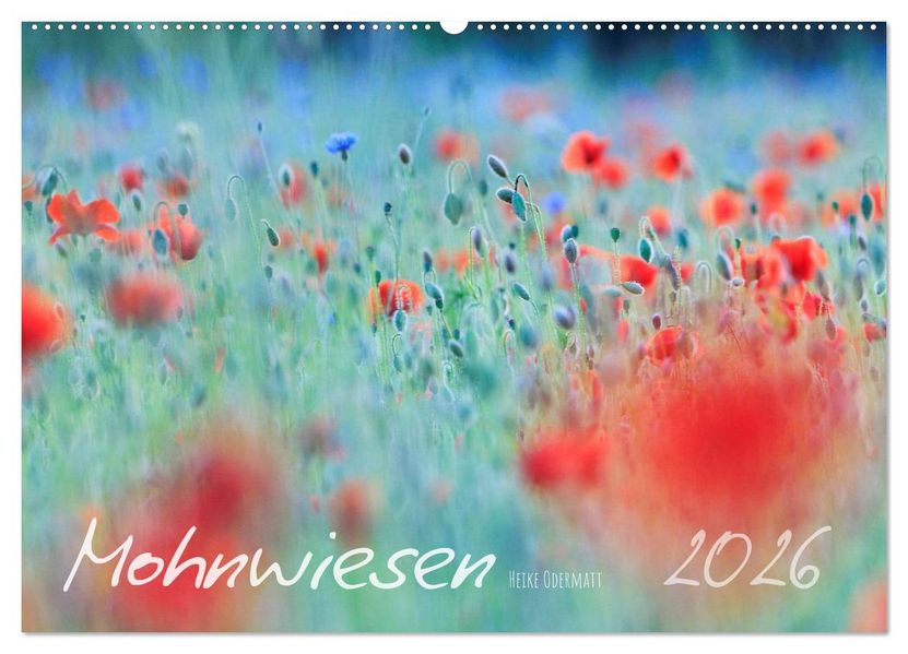 Mohnwiesen (Wandkalender 2026 DIN A2 quer) CALVENDO Monatskalender
