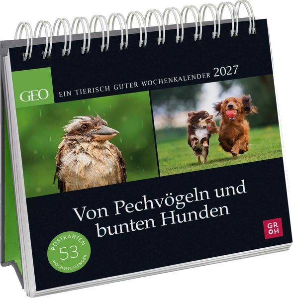 Postkartenkalender 2027: Von Pechvögeln und bunten Hunden