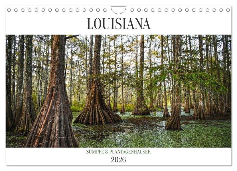 Louisiana - Sümpfe und Plantagenhäuser (Wandkalender 2026 DIN A4 quer) CALVENDO Monatskalender