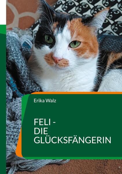 Feli - die Glücksfängerin