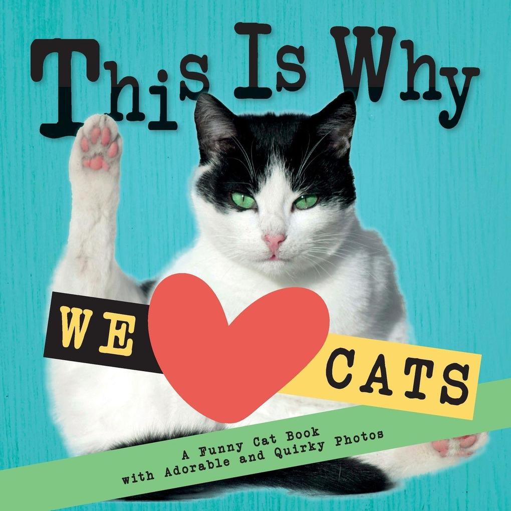 This Is Why We Love Cats