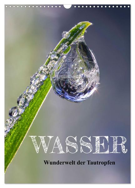 Wasser - Wunderwelt der Tautropfen (Wandkalender 2026 DIN A3 hoch) CALVENDO Monatskalender