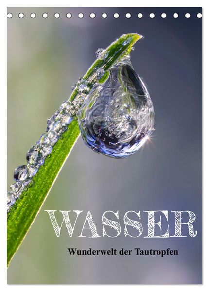 Wasser - Wunderwelt der Tautropfen (Tischkalender 2026 DIN A5 hoch) CALVENDO Monatskalender