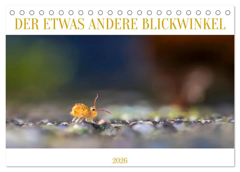 Der etwas andere Blickwinkel (Tischkalender 2026 DIN A5 quer) CALVENDO Monatskalender