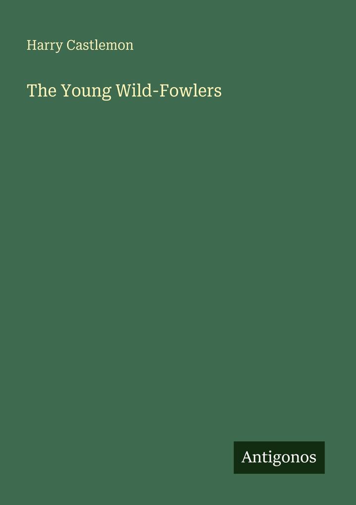The Young Wild-Fowlers