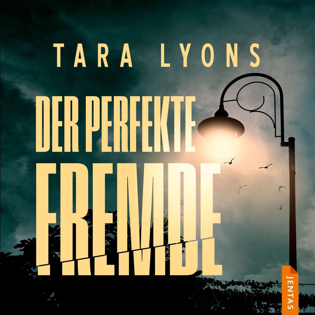 Der perfekte Fremde
