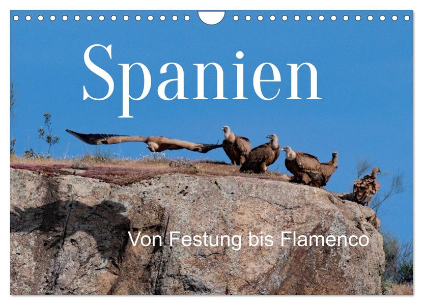 Von Festung bis Flamenco (Wandkalender 2026 DIN A4 quer) CALVENDO Monatskalender