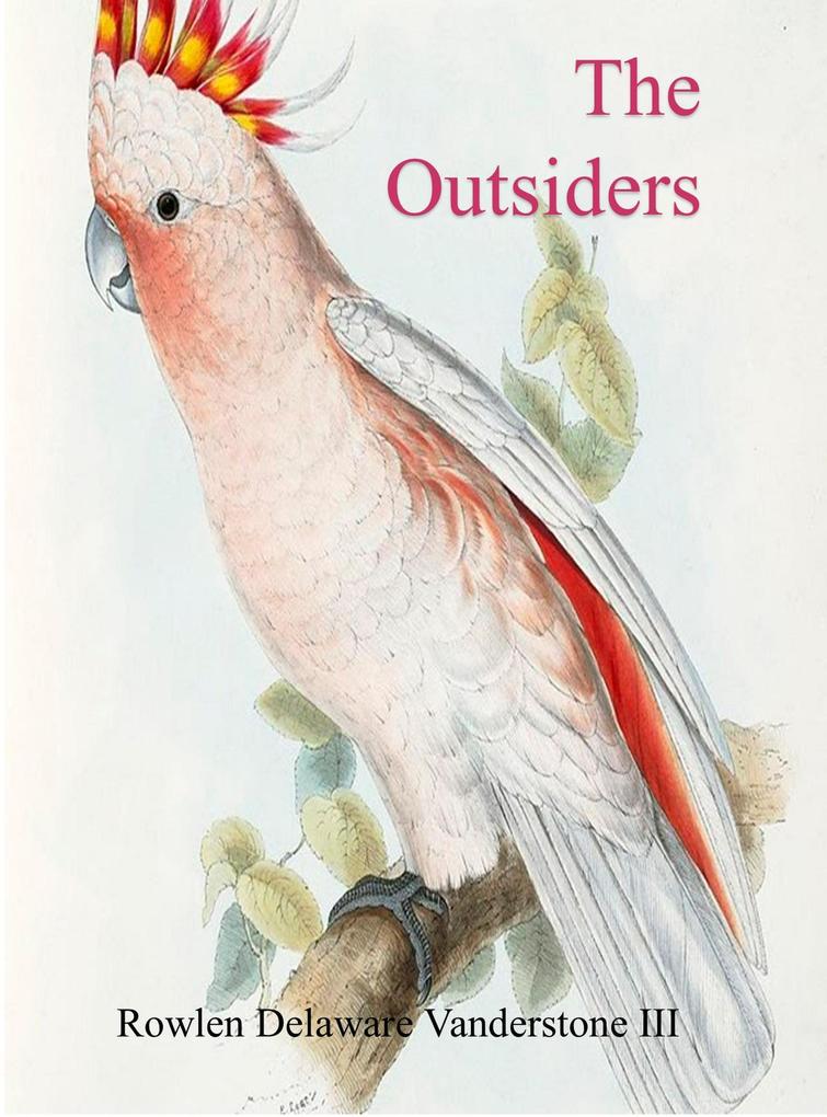 The Outsiders
