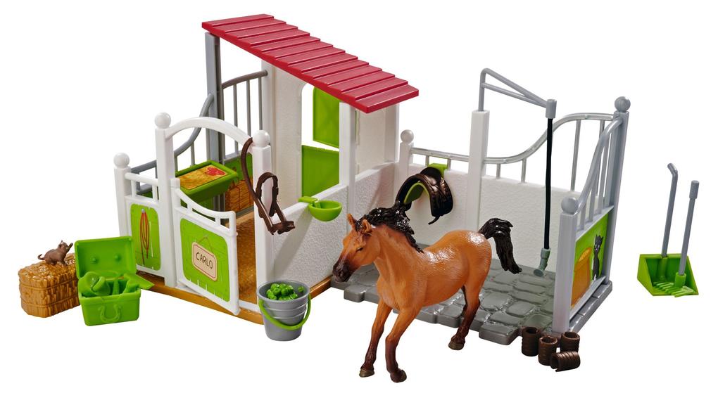 Pferdebox und Waschplatz mit Pferd